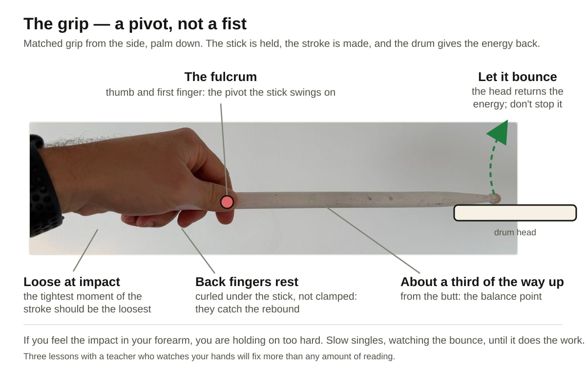 Annotated photograph of a hand holding a drumstick in matched grip from the side: the fulcrum between thumb and first finger marked as the pivot, the back fingers curled under the stick, the balance point a third of the way up, and an arrow showing the stick rebounding off the drum head